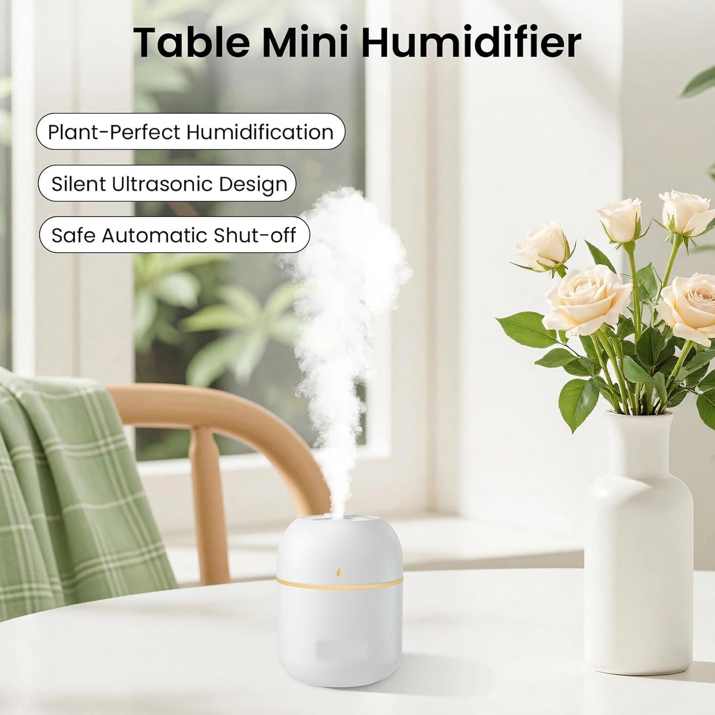 Portable Mini USB Humidifier with Night Light