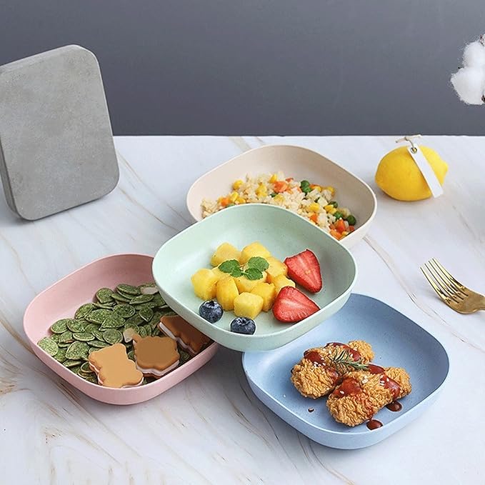 Buy 5 Get 5 Free Sale Offer - Imported 10 Pcs Set of Dish Plates