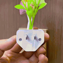 Cute Mushroom LED Night Light – Pack of 2