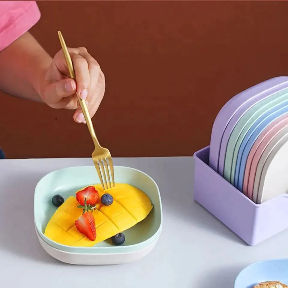 Buy 5 Get 5 Free Sale Offer - Imported 10 Pcs Set of Dish Plates
